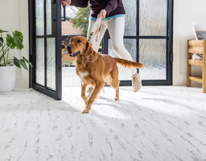 Shaw-flooring-Pet-Perfect