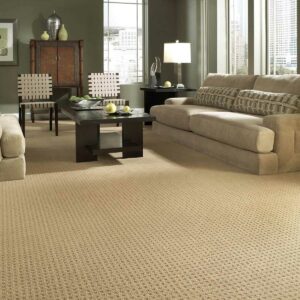 Living room carpet flooring | St.Francis Flooring Inc.