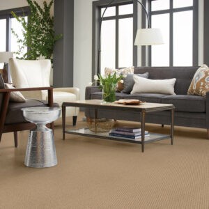 Living room carpet flooring | St.Francis Flooring Inc.