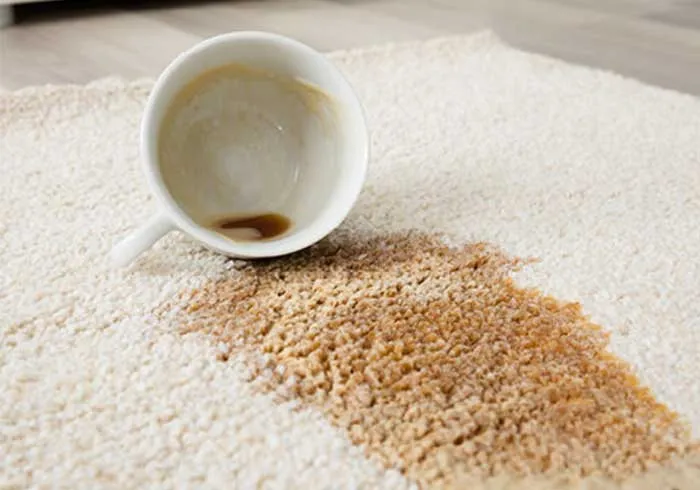 Area-Rug-care-img
